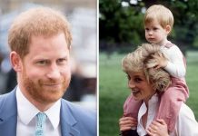 Prince Harry accused of ‘commoditising Princess Diana’ on new Archewell website | Royal | News (Reports)
