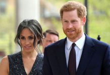 Prince Harry and Meghan Markle MOCKED over TV comedy ‘plans’ | Royal | News (Reports)