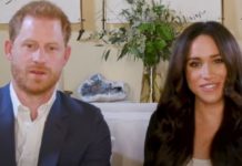 Prince Harry and Meghan told they ‘need to earn their stripes’ before they sign more deals | Royal | News (Reports)