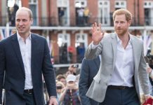 Prince Harry and Prince William may hide ‘tension’ in landmark UK return this year | Royal | News (Reports)