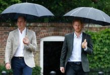 Prince Harry and Prince William warned to avoid ‘palace civil war’ amid Royal Family rift | Royal | News (Reports)