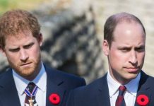 Prince Harry and Prince William’s relationship will NEVER be the same – expert | Royal | News (Reports)