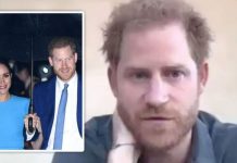 Prince Harry mocked as ‘airy-fairy do-gooder’ as Meghan Markle ‘blossoms’ post-royal life | Royal | News (Reports)