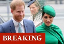 Prince Harry promises social media return with Meghan Markle | Royal | News (Reports)