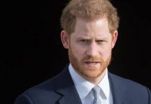 Prince Harry slapped down as Duke’s ‘astonishing’ political meddling sparks angry backlash | Royal | News (Reports)