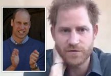 Prince Harry snub: Royal expert suggests Duke should have ‘clapped for NHS’ like William | Royal | News (Reports)