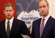Prince Harry ‘visibly upset’ after ‘chilly scene’ with William exposed brothers’ rift | Royal | News (Reports)