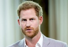 Prince Harry warned against making same ‘toxic’ mistakes as Princess Diana | Royal | News (Reports)
