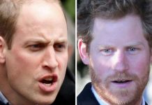 Prince Harry’s brutal hair loss swipe at Prince William exposed | Royal | News (Reports)