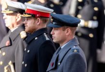 Prince William and Harry rift ended as Royal Family Christmas video calls are laid bare | Royal | News (Reports)