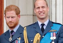 Prince William and Harry’s bond NEVER to be repaired as ‘upset’ future king’s hopes dashed | Royal | News (Reports)