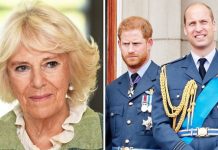 Prince William and Harry’s ‘unease over Camilla’ exposed amid rift: ‘There’s anxiety’ | Royal | News (Reports)