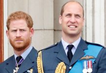 Prince William and Prince Harry face very ‘awkward’ reunion at Princess Diana event | Royal | News (Reports)