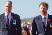 Prince William ‘forfeited’ a brother and key ally as future king due to Megxit – expert | Royal | News (Reports)