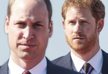 Prince William latest: Duke hoped Prince Harry would be there for him – Royal Family news | Royal | News (Reports)