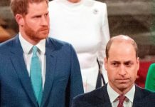 Prince William news: ‘Disappointed’ Duke refused to attend Prince Harry meeting | Royal | News (Reports)