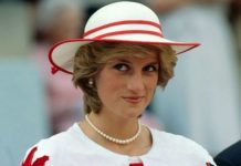 Princess Diana’s ‘amazing’ resemblance to mother in portrait | Royal | News (Reports)