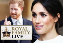 Royal Family latest: Meghan Markle was ‘the catalyst’ – but Prince Harry drove them out | Royal | News (Reports)