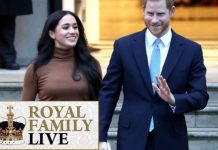 Royal Family news: Meghan Markle changed Prince Harry says expert – ‘She lured him away’ | Royal | News (Reports)