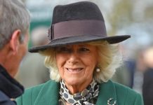 Royal news: Camilla is an important tool for Royal Family thanks to skill ‘drilled’ in her | Royal | News (Reports)