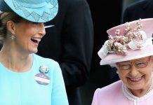 Sophie Wessex news: Queen told to replace Meghan and Harry with ‘loyal’ Sophie Wessex | Royal | News (Reports)