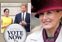 Sophie Wessex poll: Should Countess take on bigger royal role after Meghan and Harry quit? | Royal | News (Reports)
