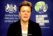 Tackling chemical weapons in Syria through both OPCW and UNSC UN Security Council