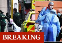 UK records spike in Sunday death toll from coronavirus as another 54,940 cases confirmed | UK | News (Reports)