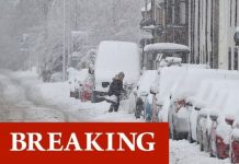 UK snow crisis: People trapped in homes forced to miss crucial coronavirus appointments | UK | News (Reports)