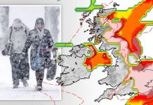 UK snow warning: Freezing Scandinavian weather front to trigger 10 days of heavy snow | UK | News (Reports)