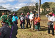 UK is helping indigenous communities in Peten to protect and use their ancient traditional medicine