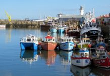 £23 million Seafood Disruption Support Scheme now open