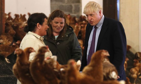 Johnson visiting a Welsh farm in 2019 Johnson visiting a Welsh farm in 2019