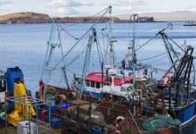 Additional support for UK fish and shellfish exporters to the EU