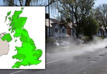 Air pollution map UK: Find out how bad pollution is near YOU | UK | News (Reports)