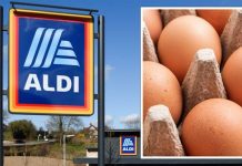 Aldi plastic ban: bargain supermarket bans plastic packaging on eggs | UK | News (Reports)
