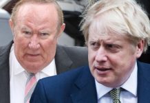 Andrew Neil’s brutal warning to Boris Johnson as Spectator editor: ‘You’re incompatible’ | UK | News (Reports)