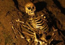 Archaeology breakthrough ‘changed understanding’ of first Britons as UK’s history mapped | UK | News (Reports)