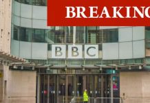 BBC TV licence fee price rise: How much is the TV licence fee in 2021? | UK | News (Reports)