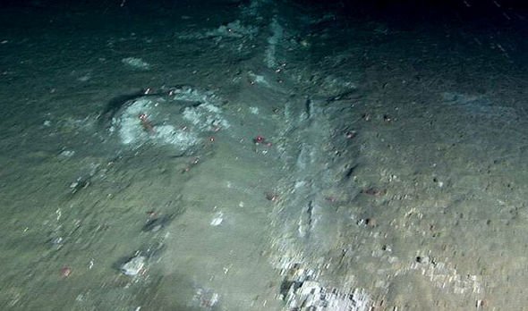 Bottom trawlers fishing Bottom trawlers fishing