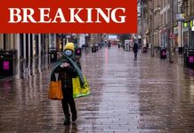 Brazil variant hits UK: Covid warning issued over first cases of Manaus strain | UK | News (Reports)