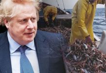 Brexit blunder as UK agreed to law behind ‘shellfish ban’ in 2008 | UK | News (Reports)