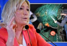 Brexit fishing row: Simple solution that bypasses EU proposed by Le Pen’s adviser | UK | News (Reports)
