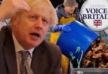 Brexit news: Boris urged to cut EU fishing quotas in UK waters after shellfish ban | UK | News (Reports)