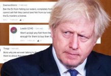 Brexit news: Britons furious at EU fishing betrayal – ‘deliberately obstructive!’ | UK | News (Reports)