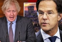 Brexit news: Netherlands fear over trade despite Amsterdam surge – ‘Not good for us’ | UK | News (Reports)