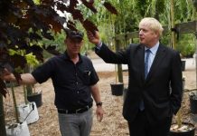 Brexit news: No10 told to act on NI Protocol soil rules as British plant-life held back | UK | News (Reports)