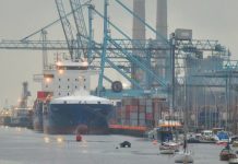 Brexit news: UK and EU businesses told to brace for major border disruption from April | UK | News (Reports)
