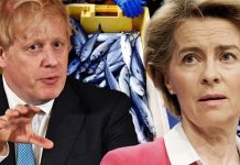 Brexit warning as UK’s shellfish industry dubbed ‘hidden secret’ in talks with EU | UK | News (Reports)