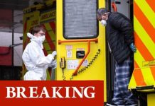 Bristol Covid strain: New variant branded cause for ‘concern’ as Kent strain mutates | UK | News (Reports)